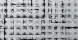 Wild Square 2 20.231 Wild Square 2