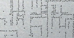 Wild Square 2 20.237 Wild Square 2
